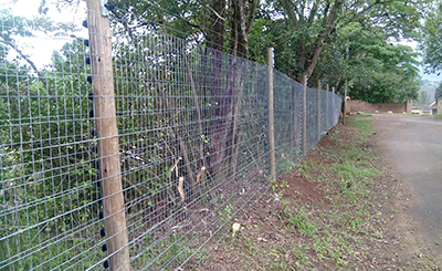 Green Dot Fencing - Wire Fencing
